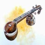 veena music