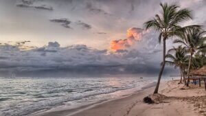 cool photos of nature ,full of clouds covering the red sun,and coconut tree