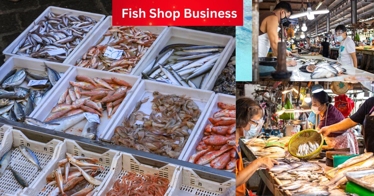 Fish Shop Business