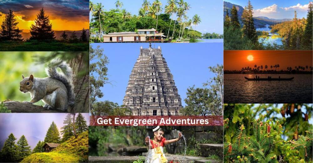 Get Evergreen Topics In My Website For Free In Tamil