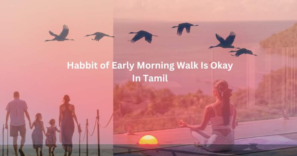 Habbit of Early Morning Walk Is Okay In Tamil