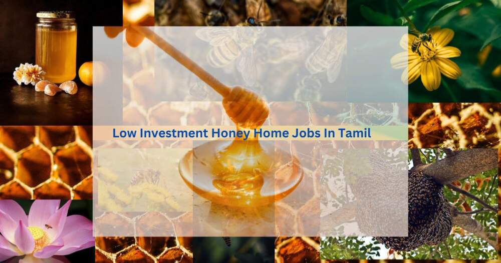 Low Investment Honey Home Jobs In Tamil (1)