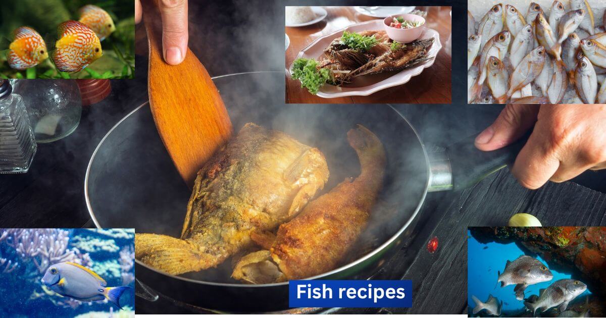 Fish recipes