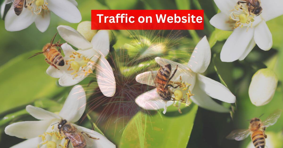 Traffic on Website 