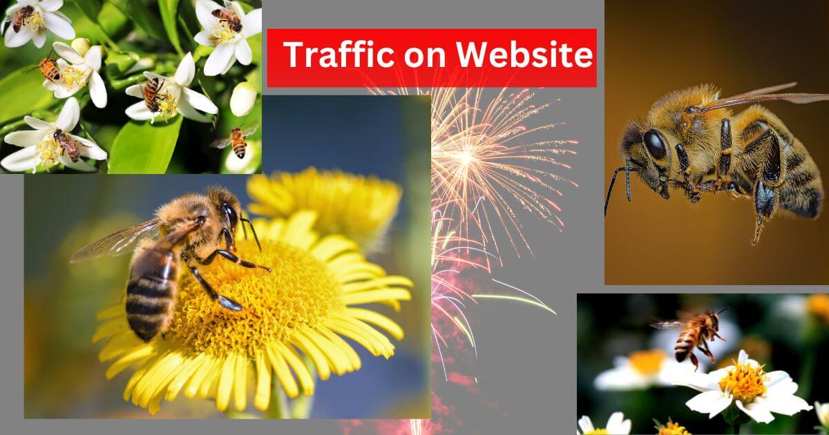 Traffic on Website